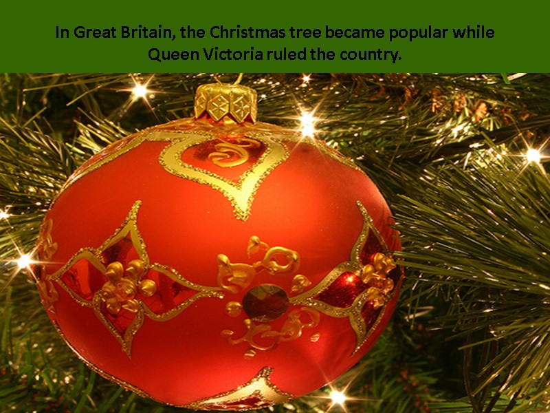 In Great Britain, the Christmas tree became popular while Queen Victoria ruled the country.